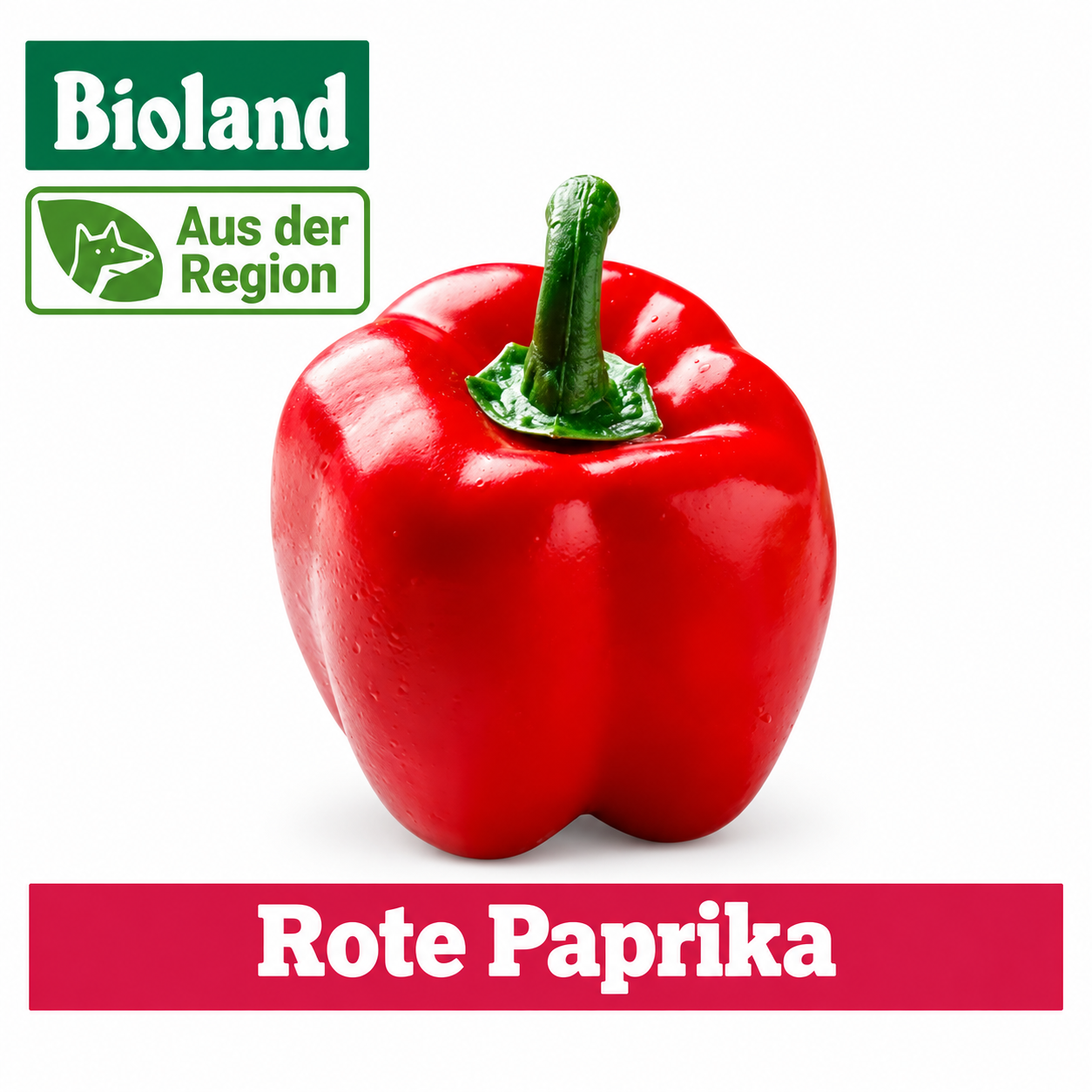Artikel Bild