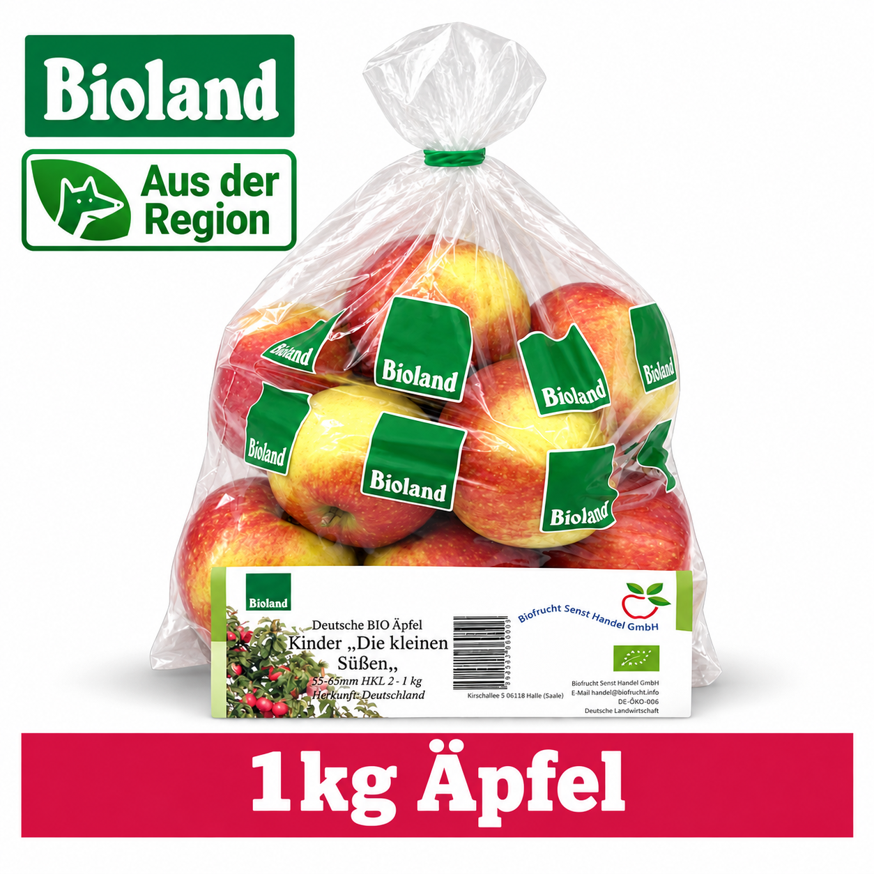Artikel Bild