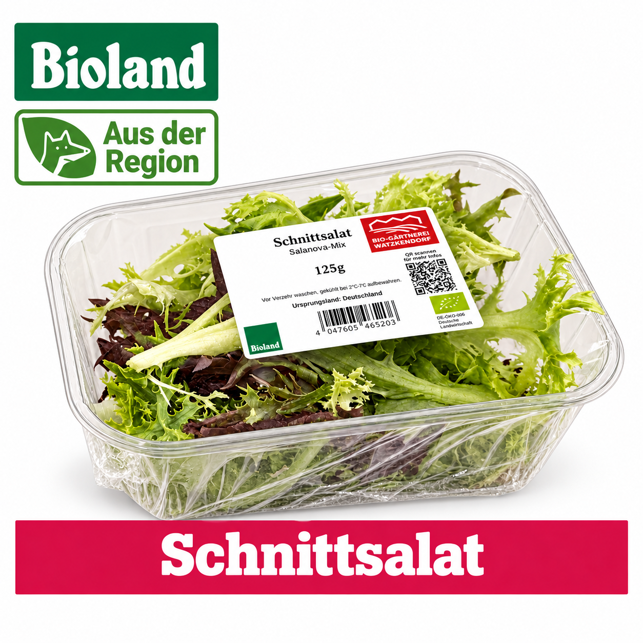 Artikel Bild