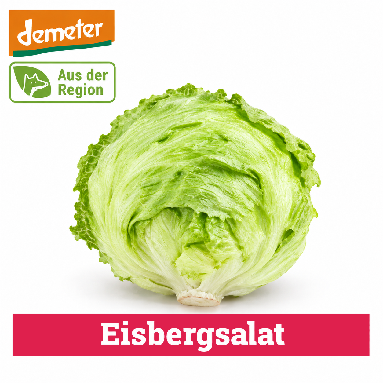Artikel Bild