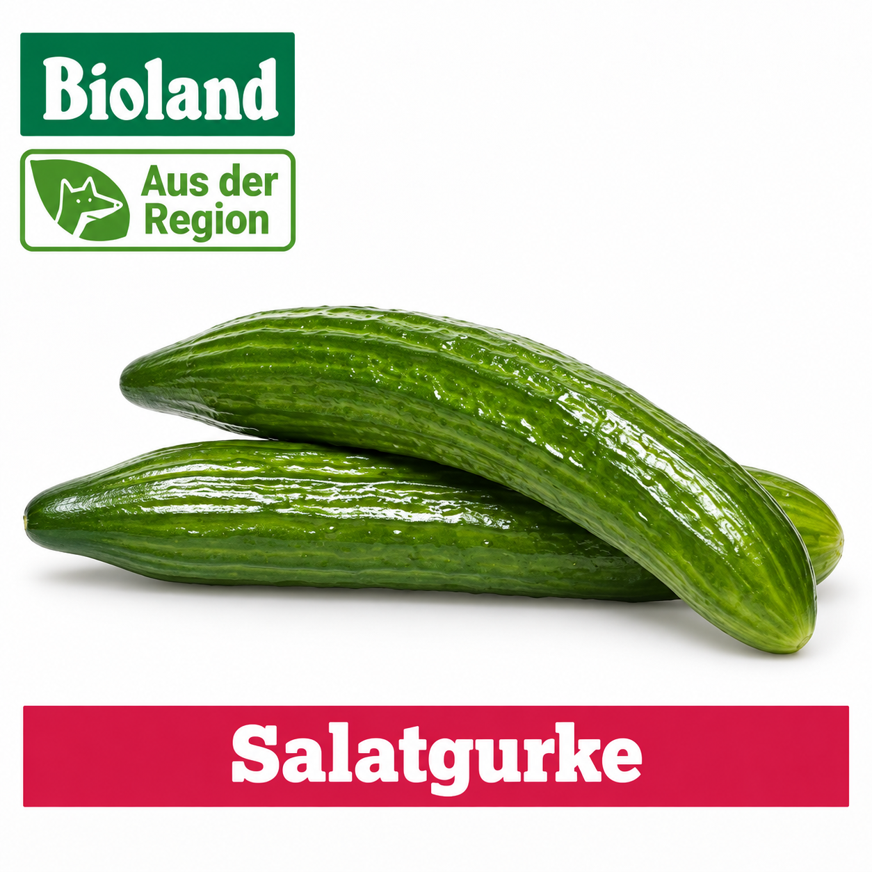 Artikel Bild