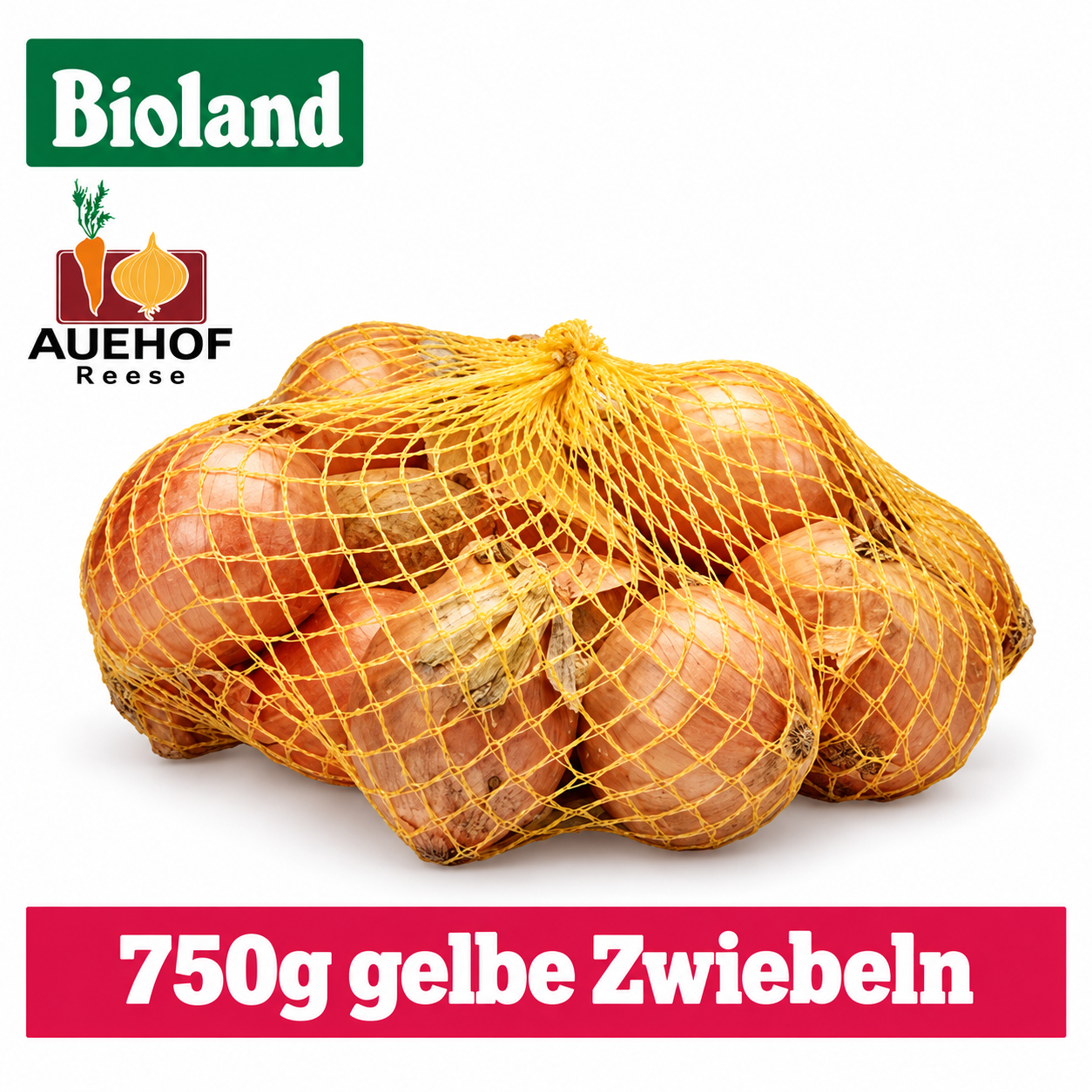 Artikel Bild