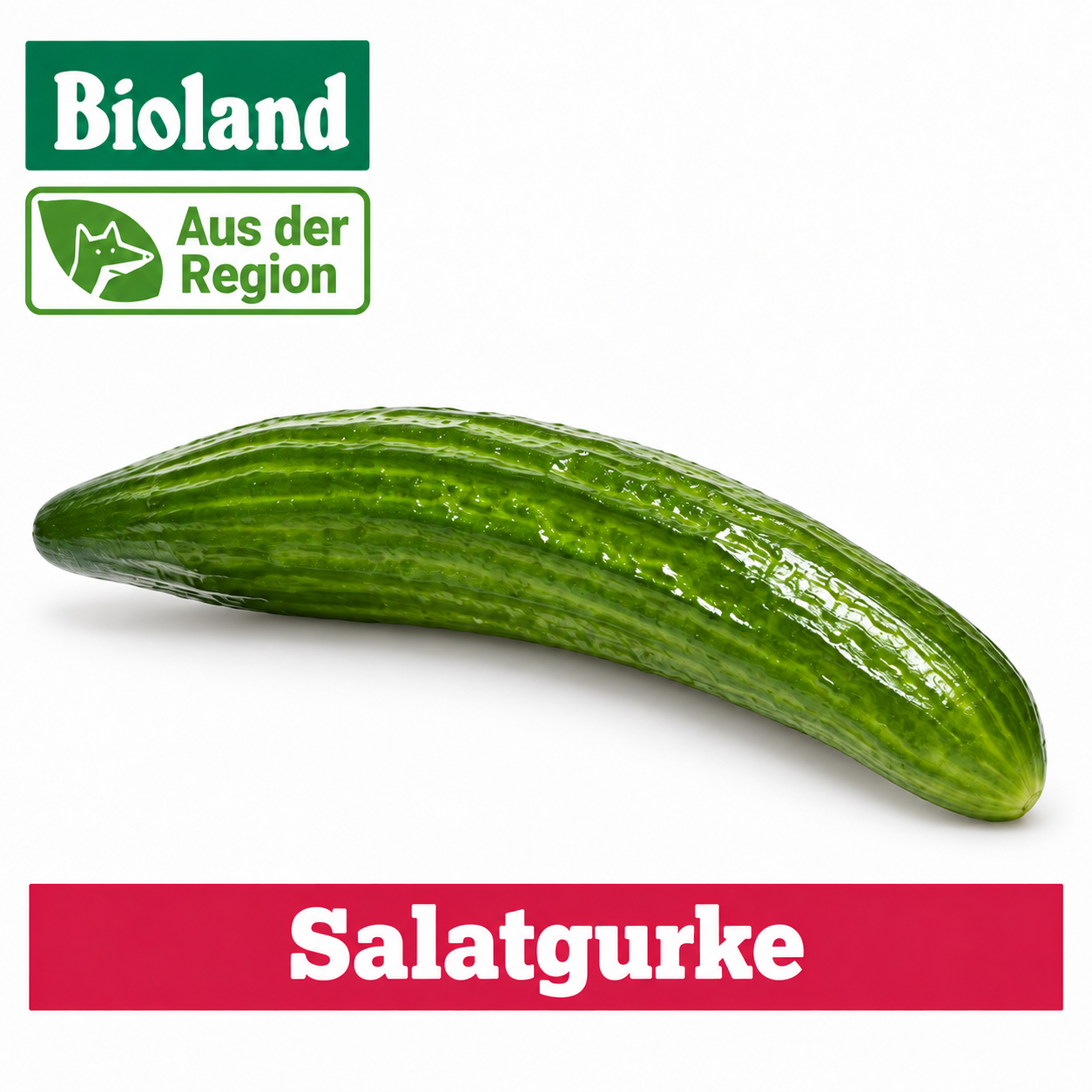 Artikel Bild