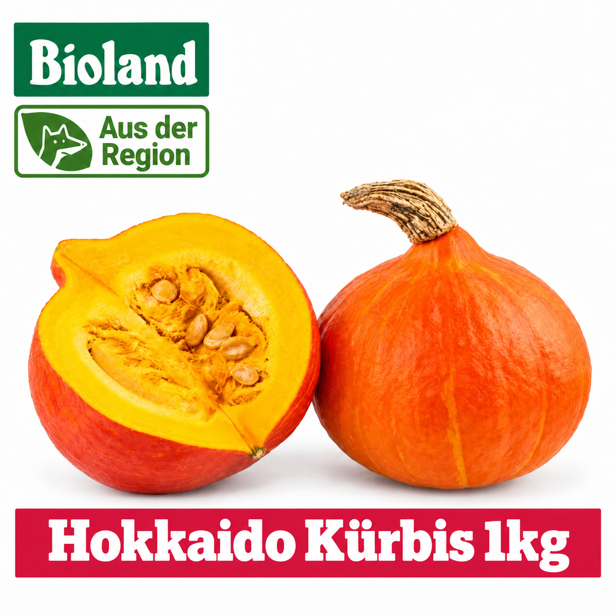 Artikel Bild