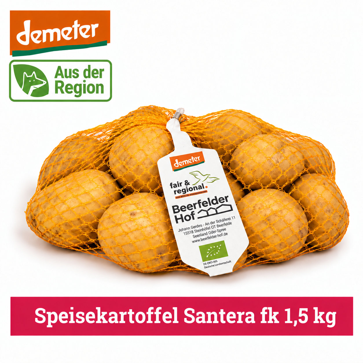 Artikel Bild