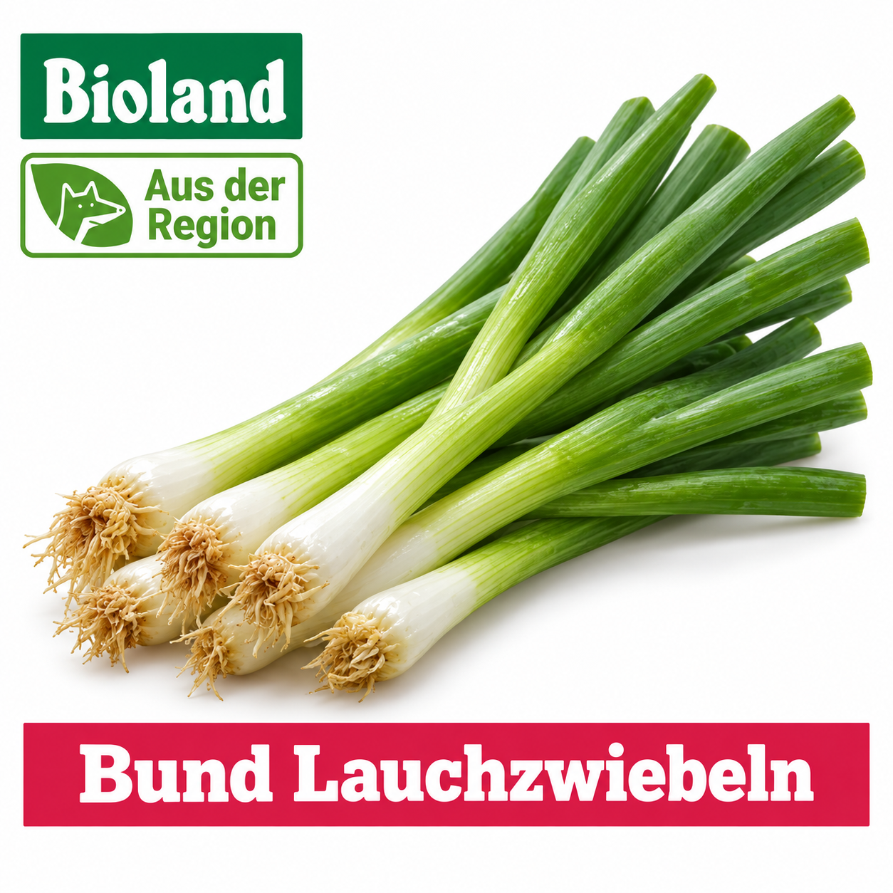Artikel Bild