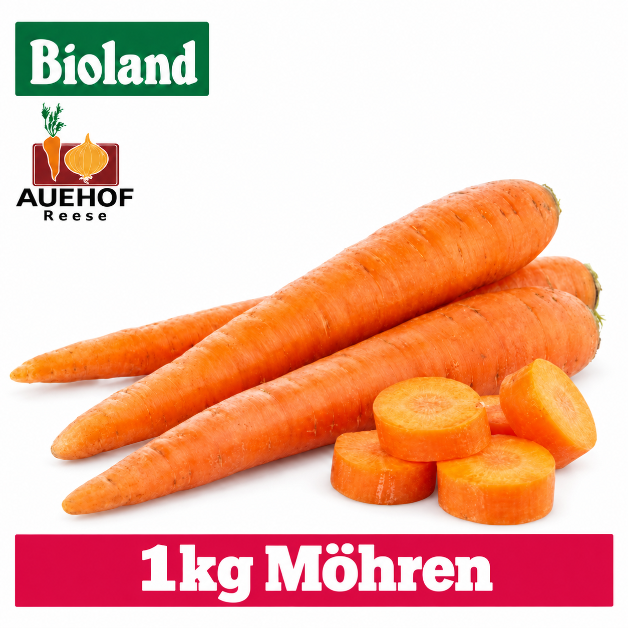 Artikel Bild